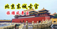 曰本暴乳女同性恋视频中国北京-东城古宫旅游风景区